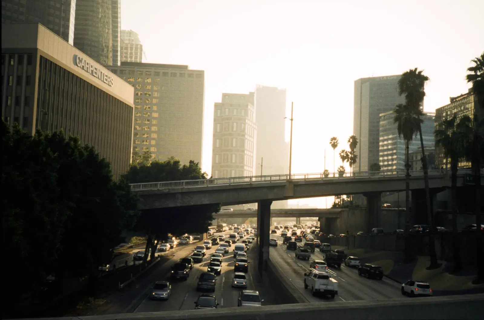 Los Angeles traffic and palm trees along a freeway at sunset